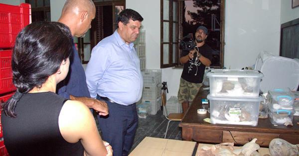 EMU Rector Prof. Dr. Hasan Kılıç Visits “Kral Tepesi” Excavation Site in Kaleburnu